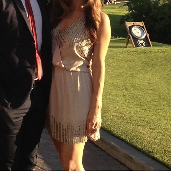 Parker 100% Silk Sleeveless Gold Sequin Fully Lined Mini Dress Nude L - Picture 9 of 15